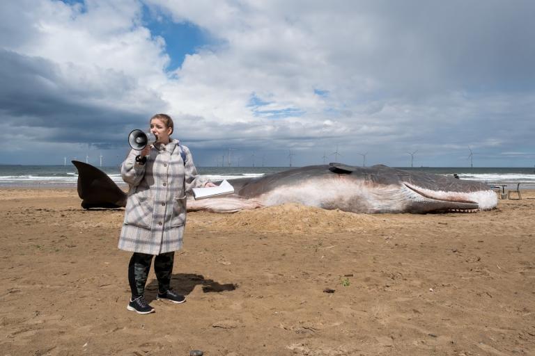 Image of an actress pretending to be a protestor standing in front of a life-size whale model, talking through a megaphone.