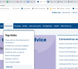 Screenshot of the CAB website with the consumer section selected detailing the top links.